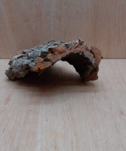 Small Cork Hide 4