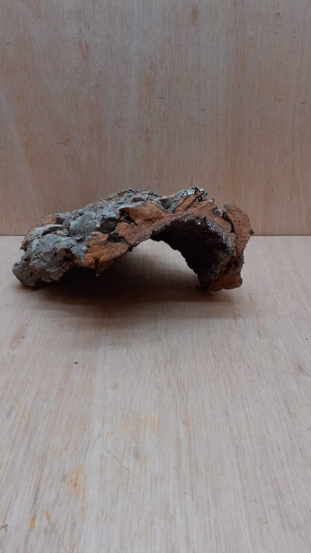 Small Cork Hide 4