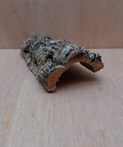 Small Cork Hide 11