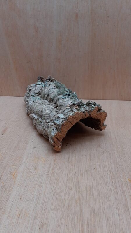 Small Cork Hide 13