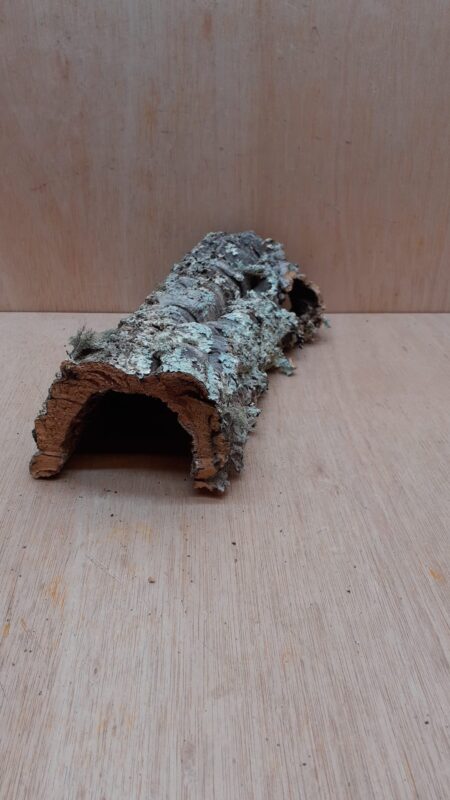 Small Cork Hide 17