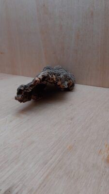 Small Cork Hide 18