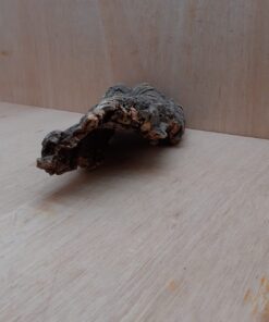 Small Cork Hide 18