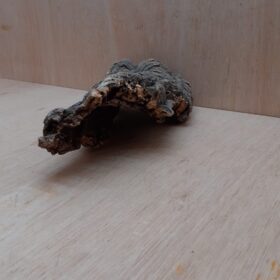 Small Cork Hide 18