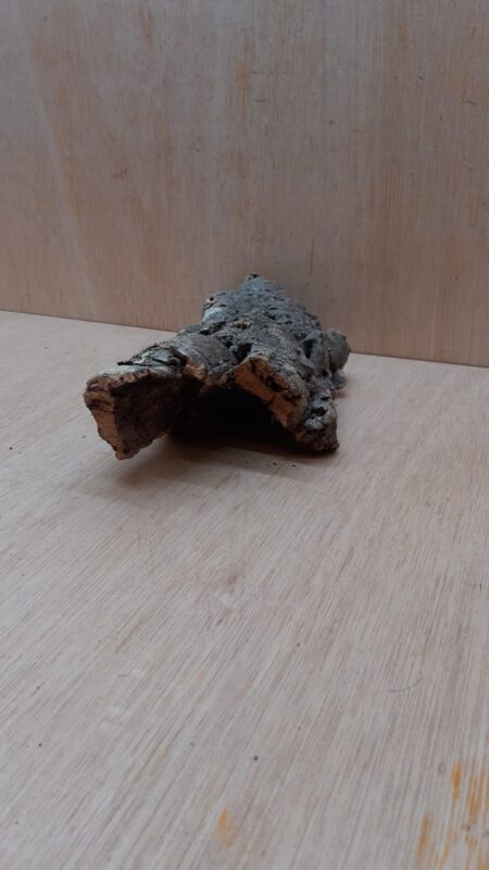 Small Cork Hide 19