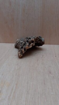 Small Cork Hide 24
