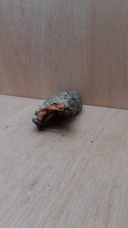 Small Cork Hide 25