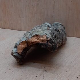 Small Cork Hide 25