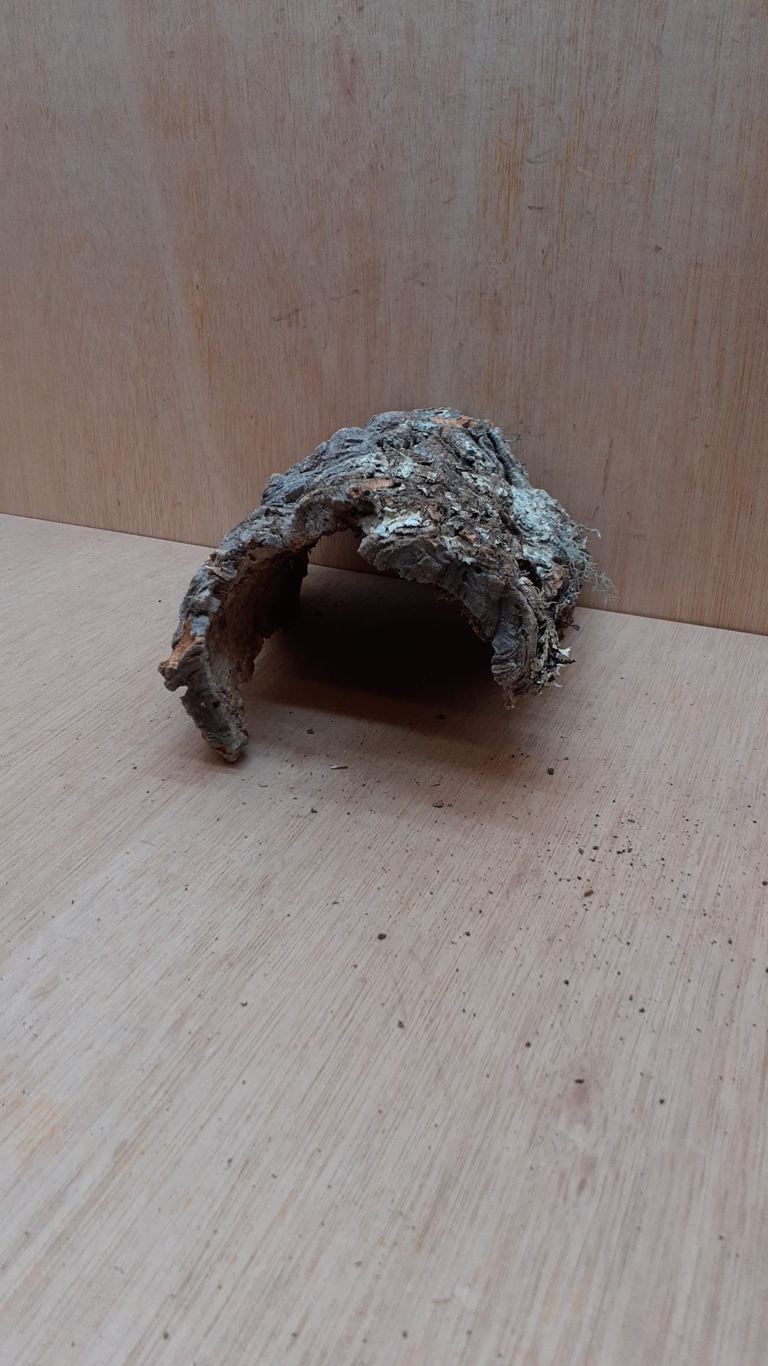 Small Cork Hide 27