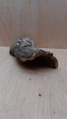 Small Cork Hide 29
