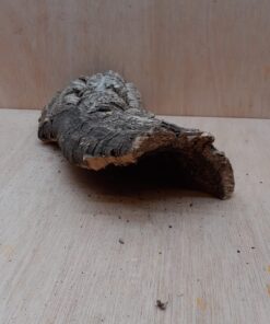 Small Cork Hide 29