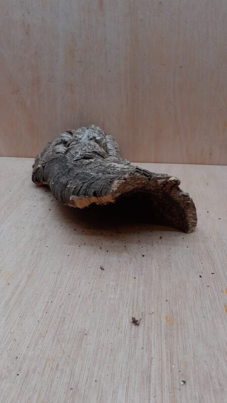Small Cork Hide 29