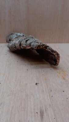 Small Cork Hide 30