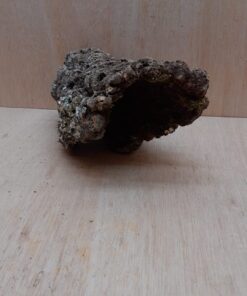 Medium Cork Hide 7