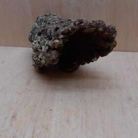 Medium Cork Hide 7