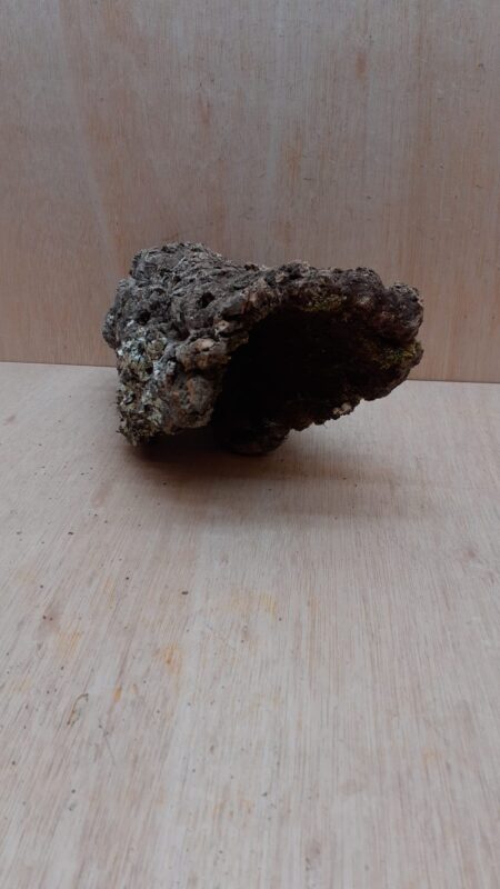 Medium Cork Hide 7