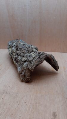 Medium Cork Hide 13