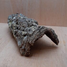 Medium Cork Hide 13