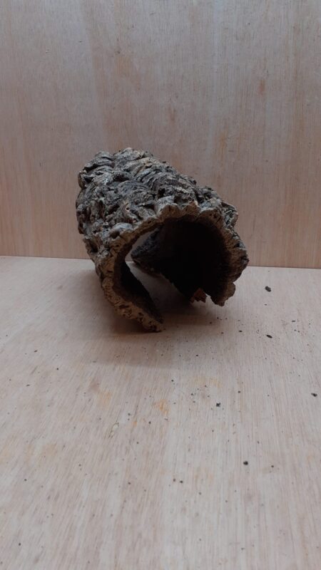 Medium Cork Hide 19