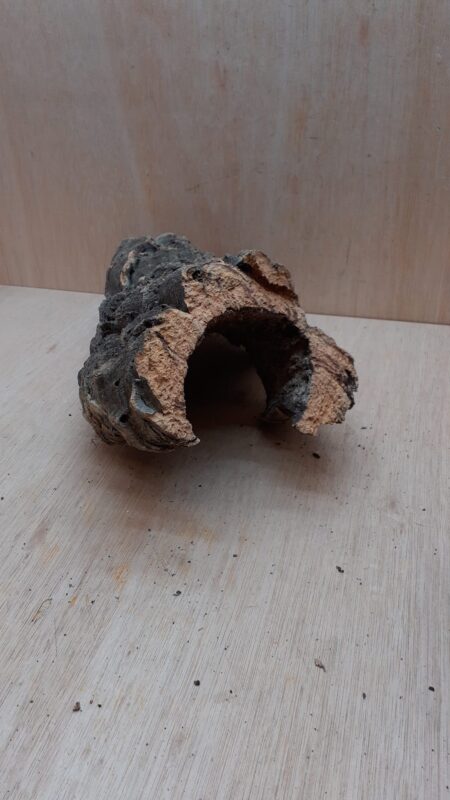 Medium Cork Hide 20