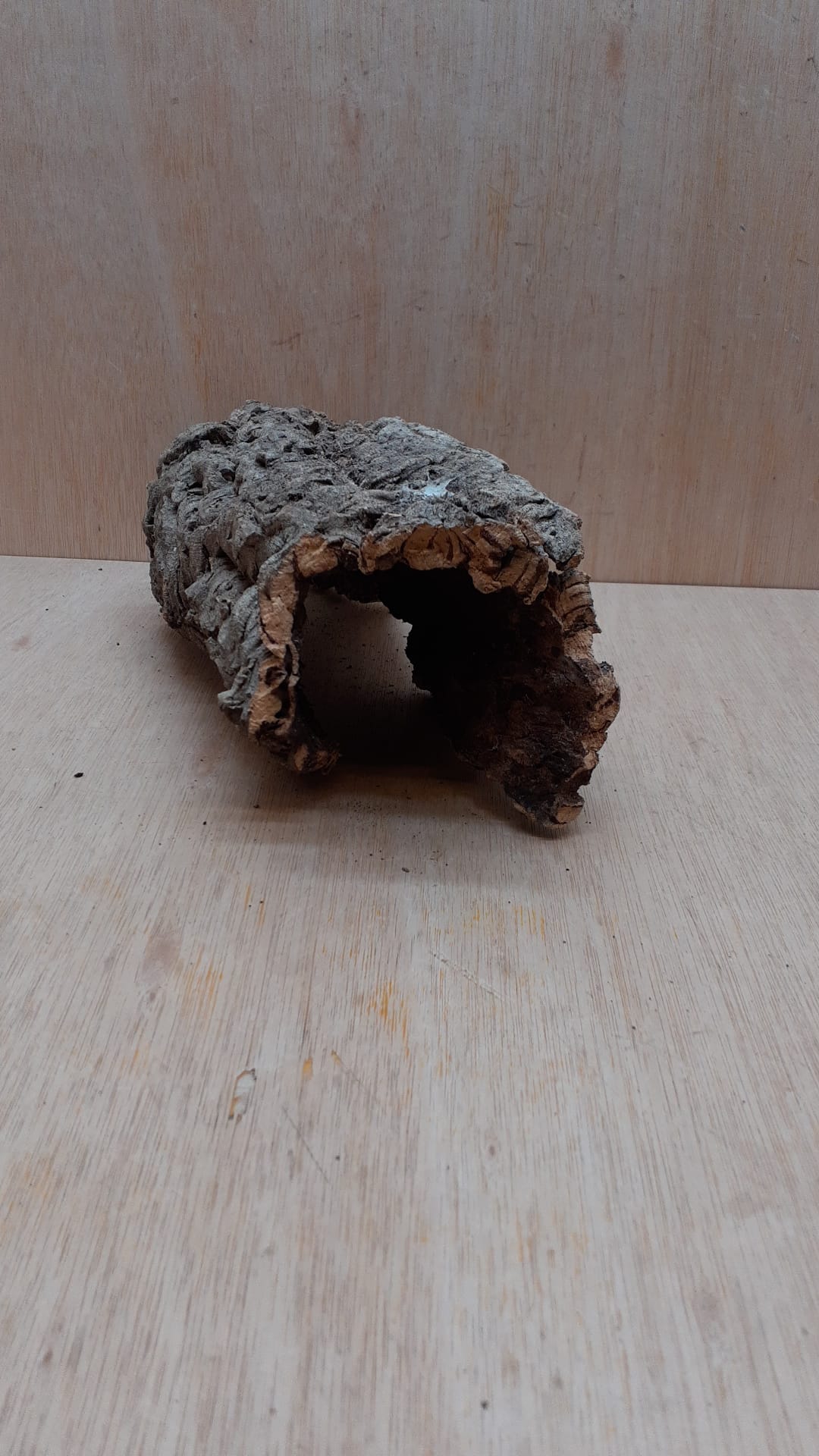Medium Cork Hide 26