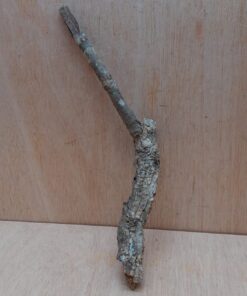 Small Cork Branch - Upto 40cm - 2