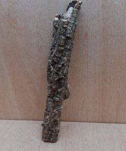 Small Cork Branch - Upto 40cm - 3