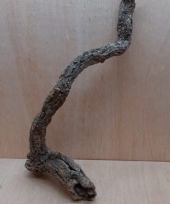 Medium Cork Branch - 40-80cm - 3