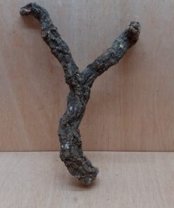 Medium Cork Branch - 40-80cm - 14