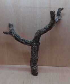 Medium Cork Branch - 40-80cm - 15