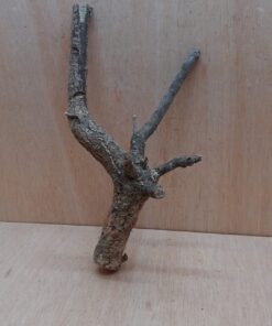 Medium Cork Branch - 40-80cm - 16