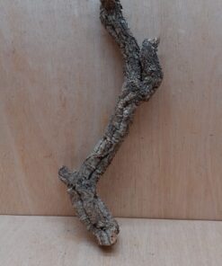 Medium Cork Branch - 40-80cm - 18