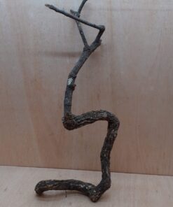 Medium Cork Branch - 40-80cm - 19