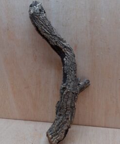 Medium Cork Branch - 40-80cm - 20