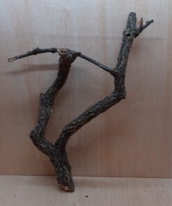 Medium Cork Branch - 40-80cm - 21