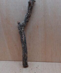 Medium Cork Branch - 40-80cm - 29