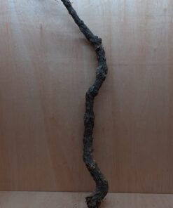 Large Cork Branch - 80-110cm - 16
