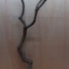 Large Cork Branch - 80-110cm - 18