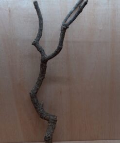 Large Cork Branch - 80-110cm - 18