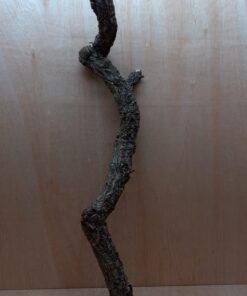 Large Cork Branch - 80-110cm - 20