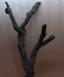 Large Cork Branch - 80-110cm - 21