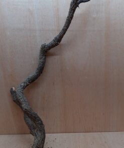 Large Cork Branch - 80-110cm - 23