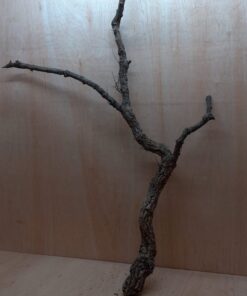 Large Cork Branch - 80-110cm - 24