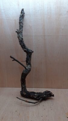 Large Cork Branch - 80-110cm - 25