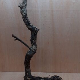 Large Cork Branch - 80-110cm - 25