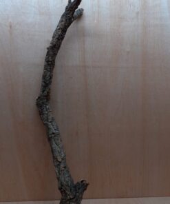 Large Cork Branch - 80-110cm - 27