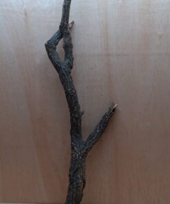 Large Cork Branch - 80-110cm - 29