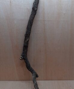 Large Cork Branch - 80-110cm - 30