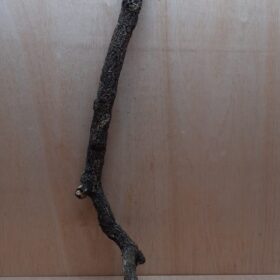 Large Cork Branch - 80-110cm - 30