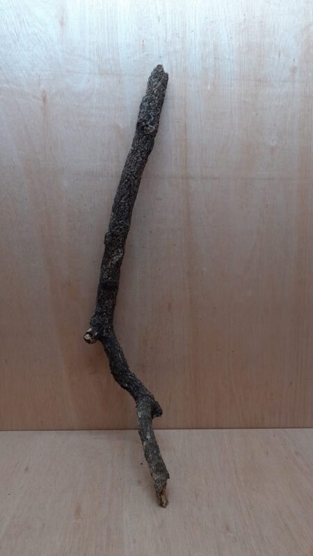 Large Cork Branch - 80-110cm - 30